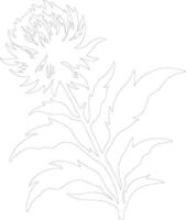 AI generated safflower  outline silhouette vector