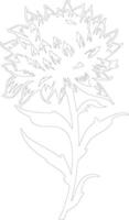 AI generated safflower  outline silhouette vector