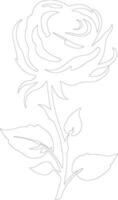 AI generated rose  outline silhouette vector