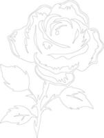 AI generated rose  outline silhouette vector