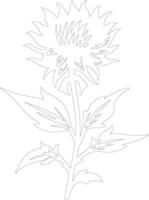 AI generated safflower  outline silhouette vector