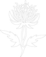 AI generated safflower  outline silhouette vector