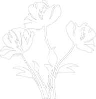 AI generated sego lily outline silhouette vector