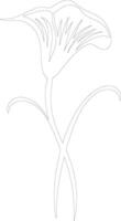 AI generated sego lily  outline silhouette vector
