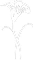 AI generated sego lily  outline silhouette vector