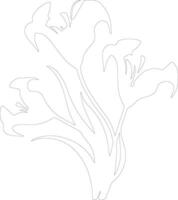AI generated sego lily  outline silhouette vector