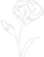 AI generated sego lily  outline silhouette vector