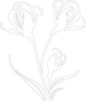 AI generated sego lily  outline silhouette vector