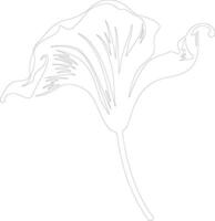 AI generated sego lily  outline silhouette vector