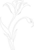 AI generated sego lily  outline silhouette vector