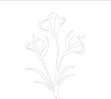 AI generated sego lily  outline silhouette vector