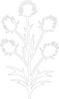 AI generated thistle  outline silhouette vector