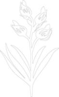 AI generated yucca flower  outline silhouette vector