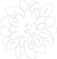 AI generated zinnia  outline silhouette vector