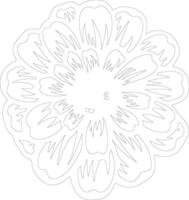 AI generated zinnia  outline silhouette vector