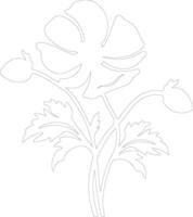 AI generated anemone  outline silhouette vector