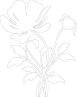 AI generated anemone  outline silhouette vector