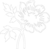 AI generated anemone  outline silhouette vector