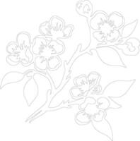 AI generated apple blossom  outline silhouette vector