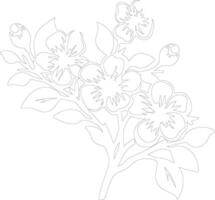 AI generated apple blossom  outline silhouette vector
