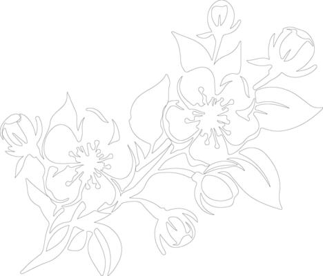 AI generated apple blossom  outline silhouette