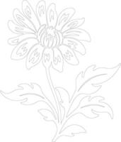 AI generated aster  outline silhouette vector