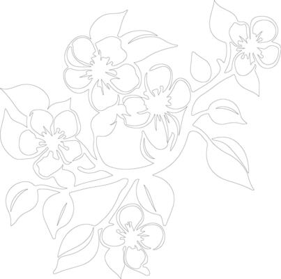 AI generated apple blossom  outline silhouette