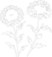 AI generated aster  outline silhouette vector