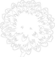 AI generated aster  outline silhouette vector