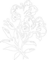 AI generated azalea  outline silhouette vector