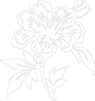 AI generated azalea  outline silhouette vector