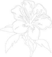 AI generated azalea  outline silhouette vector