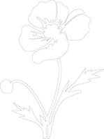 AI generated buttercup  outline silhouette vector