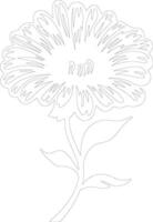 AI generated calendula  outline silhouette vector