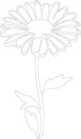 AI generated calendula  outline silhouette vector