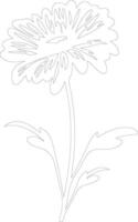 AI generated calendula  outline silhouette vector