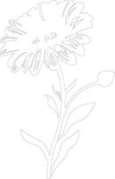 AI generated calendula outline silhouette vector