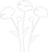 AI generated calendula  outline silhouette vector