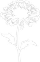 AI generated calendula  outline silhouette vector