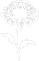 AI generated calendula  outline silhouette vector