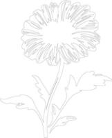 AI generated calendula  outline silhouette vector