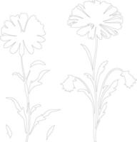 AI generated calendula  outline silhouette vector