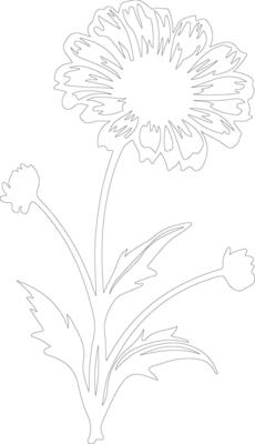 AI generated calendula  outline silhouette