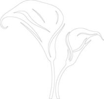 AI generated calla lily  outline silhouette vector