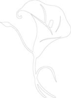 AI generated calla lily  outline silhouette vector