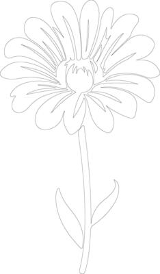 AI generated calendula  outline silhouette