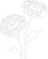 AI generated calendula  outline silhouette vector