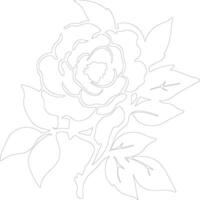 AI generated camellia  outline silhouette vector
