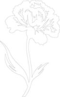 AI generated carnation  outline silhouette vector