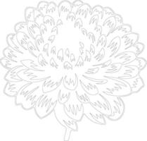 AI generated chrysanthemum  outline silhouette vector